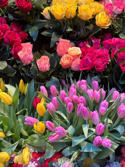 A vibrant display of fresh flowers featuring pink and yellow tulips with green stems and leaves in the foreground, complemented by clusters of pink, peach, and yellow roses arranged in lush bouquets. 