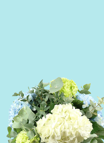 Same day Flowers Bermondsey
